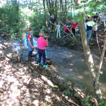 Mlinarjeva pot 14.09.2013 21